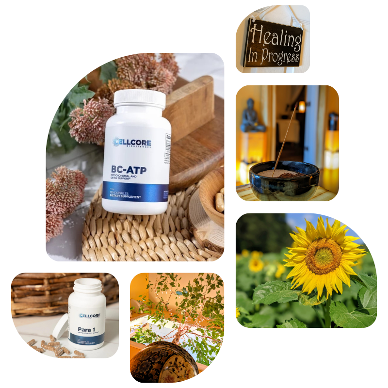 CellCore, Detox, and Nutrition at Helio Healing Wellness Center - Dahlonega, GA